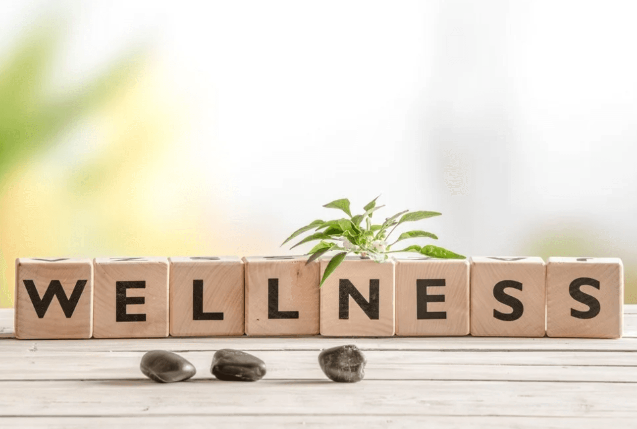 Wooden blocks spelling wellness with smooth stones and a green sprout